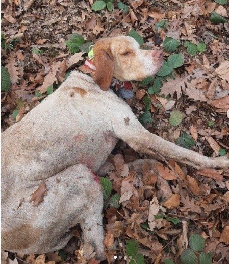 Boncuk'a kurtarma operasyonu