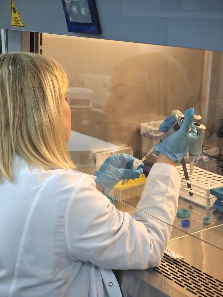 Bor tabanlı kanser tedavi projesi