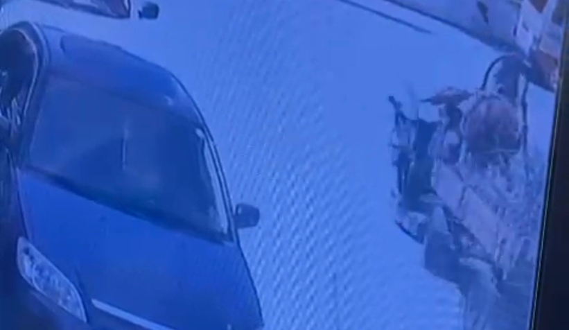 Böyle kaza görülmedi: Kaçan at, motosikletliyi altına aldı