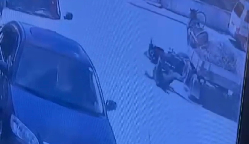 Böyle kaza görülmedi: Kaçan at, motosikletliyi altına aldı