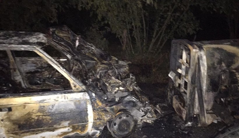 Bu araçtan çıkmayı başardı