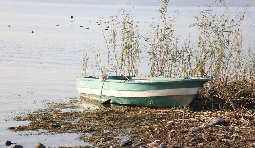 Bu fotoğraflar çekilmeyi gözler önüne serdi