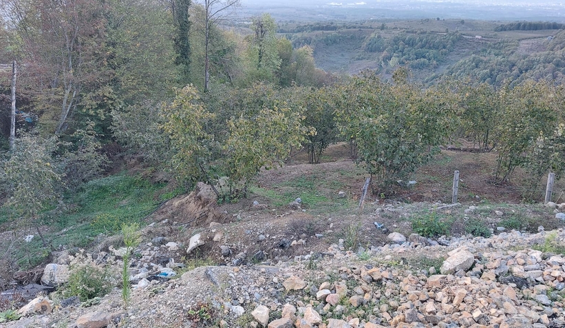 bu-mahalle-cokme-korkusu-ile-yasiyorzu5zsxfzeg