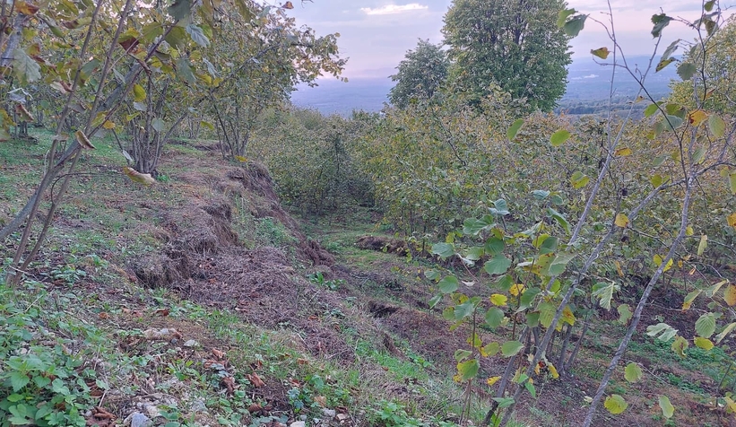 bu-mahalle-cokme-korkusu-ile-yasiyorzu5zsxfzeg