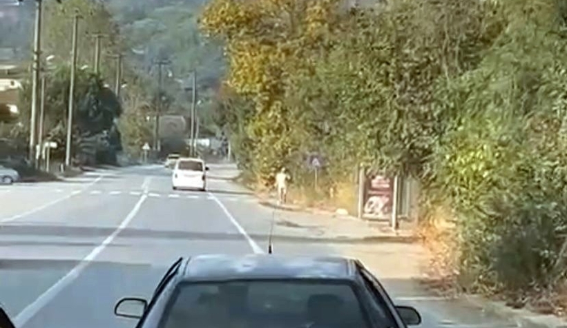bu-otomobili-trafikte-gorenler-donup-bir-daha-bakiyoruw96vtvonj