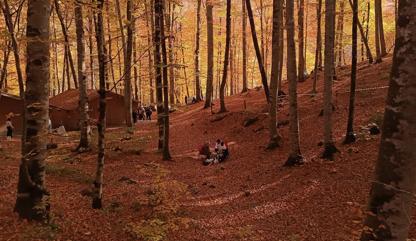 bu-parklara-randevu-ile-girilecekrdc1eel0u2