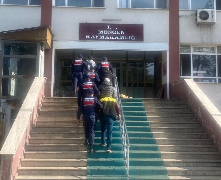 Bunlarda ağaç hırsızları