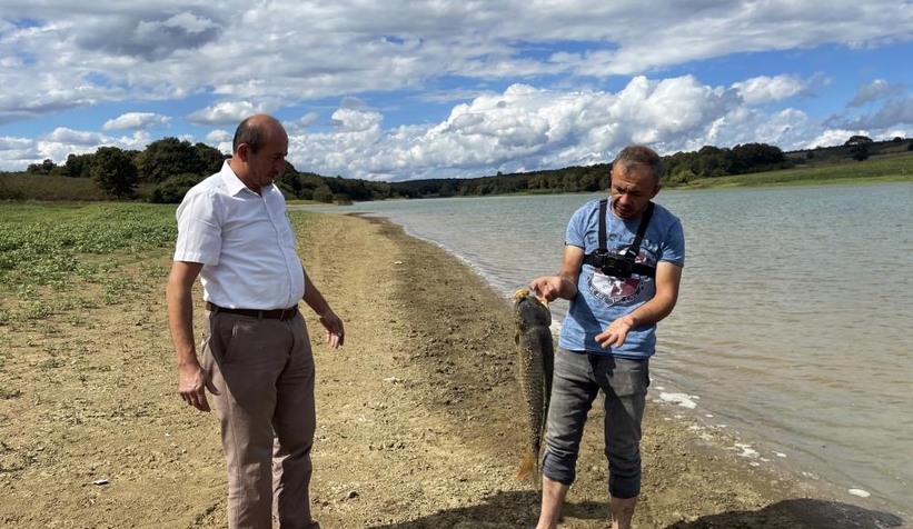 Büyük balıklar kıyıya vurdu