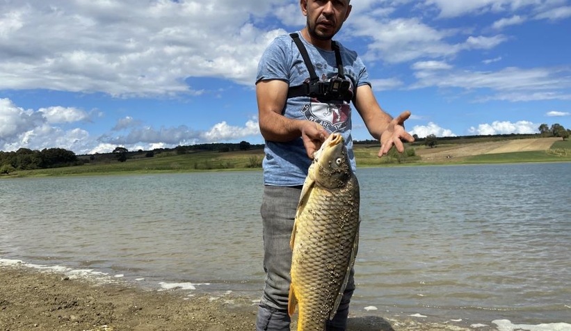 Büyük balıklar kıyıya vurdu
