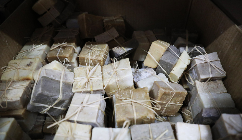 Büyükşehir 1 yılda 222 bin adet şifalı ürün üretti