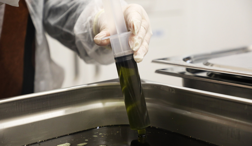 Büyükşehir 1 yılda 222 bin adet şifalı ürün üretti