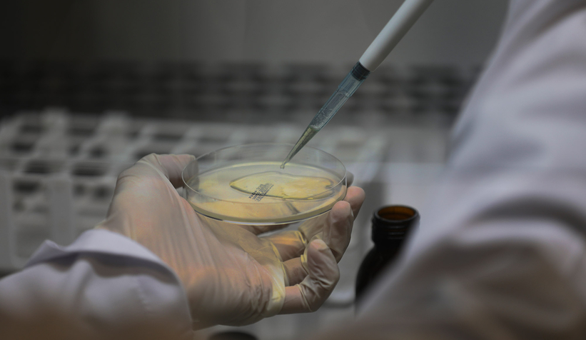 Büyükşehir 1 yılda 222 bin adet şifalı ürün üretti