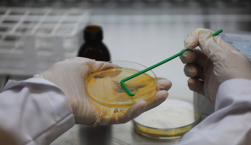 Büyükşehir 1 yılda 222 bin adet şifalı ürün üretti