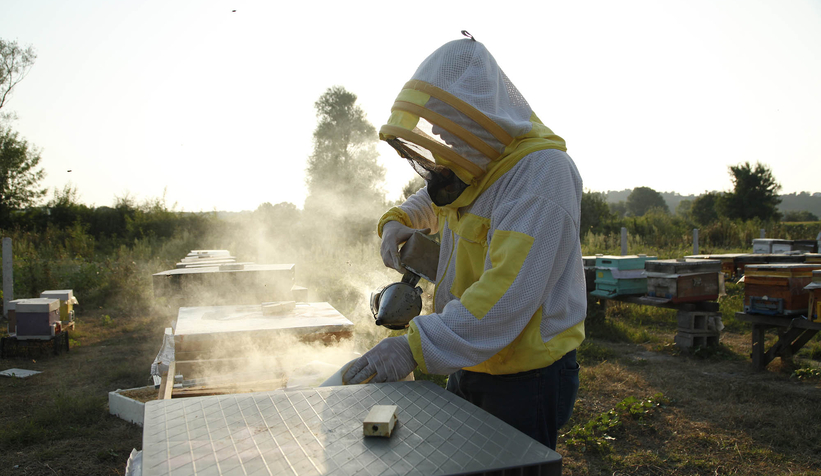 Büyükşehir 1 yılda tam 29 ton bal üretti