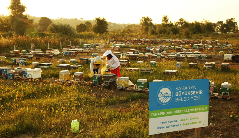 Büyükşehir 1 yılda tam 29 ton bal üretti
