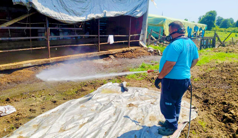 Büyükşehir 16 ilçenin tamamında vektörlerle mücadele ediyor  
