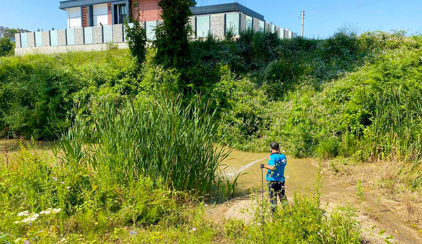 Büyükşehir 16 ilçenin tamamında vektörlerle mücadele ediyor  