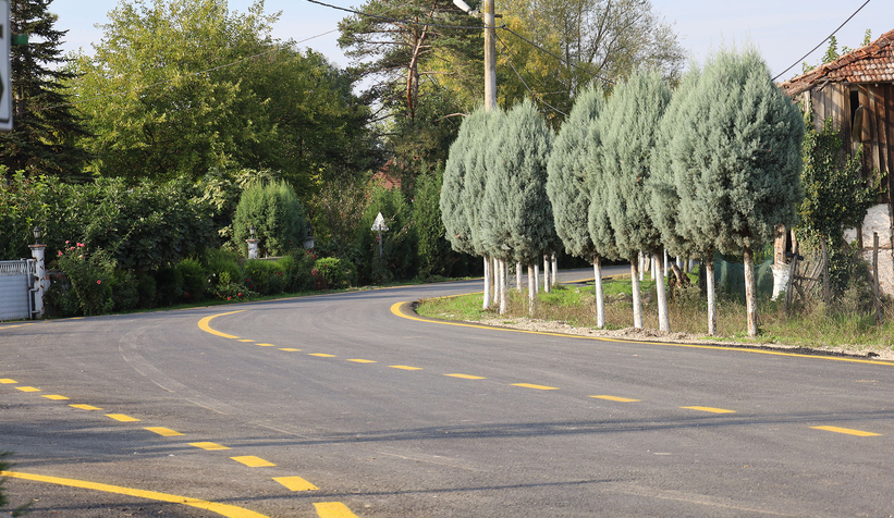 buyuksehir-akyazi-da-14-mahalle-yolunu-asfaltladi-baskan-alemdar-a-hizmet-tesekkuruzitxqkhmns