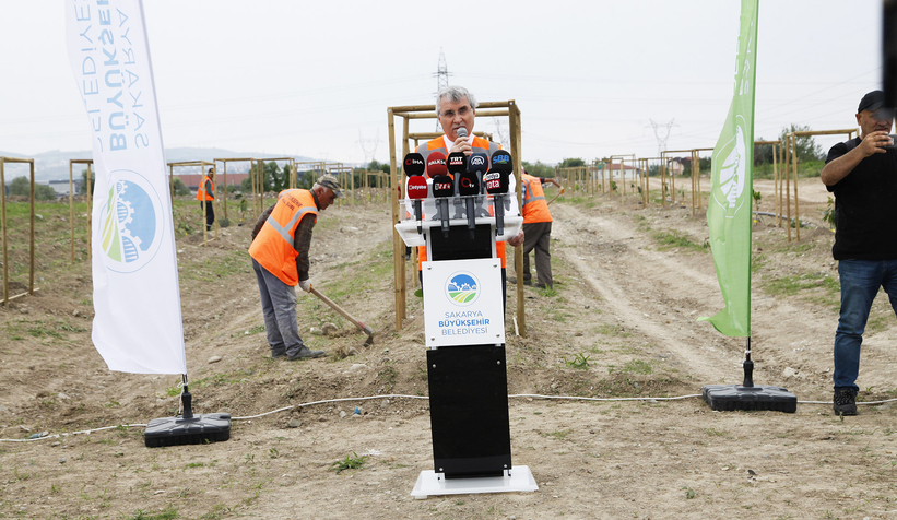 Büyükşehir avokado yetiştirecek; İlk fidanlar toprakla buluştu