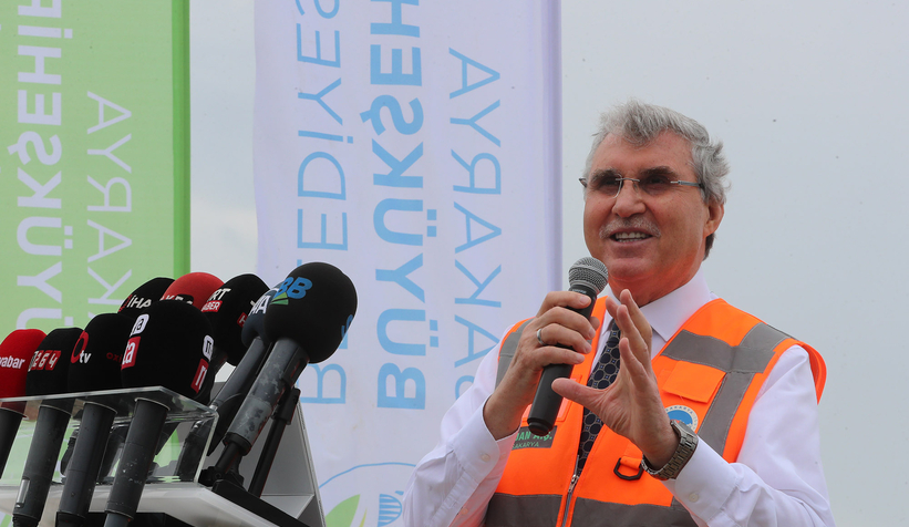 Büyükşehir avokado yetiştirecek; İlk fidanlar toprakla buluştu