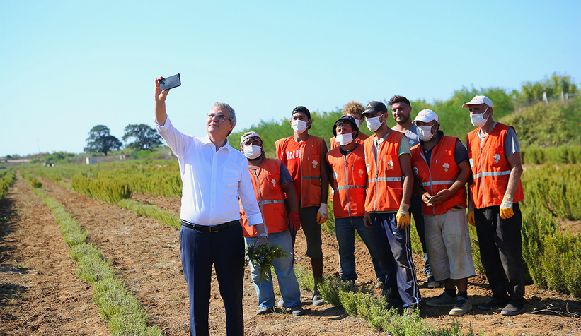 Büyükşehir biberiye üretiminde 12 tona ulaştı