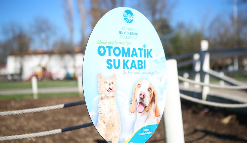 Büyükşehir can dostların hep yanında