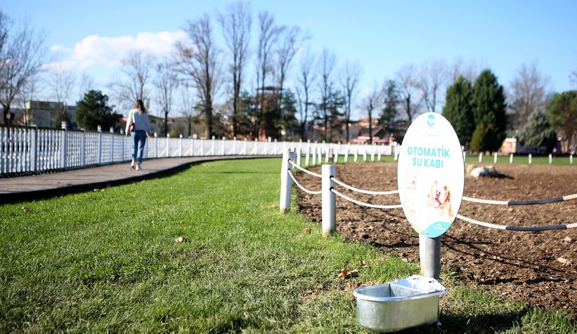Büyükşehir can dostların hep yanında