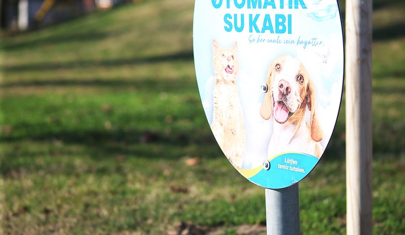 Büyükşehir can dostların hep yanında