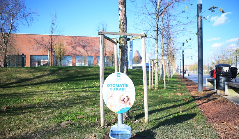 Büyükşehir can dostların hep yanında