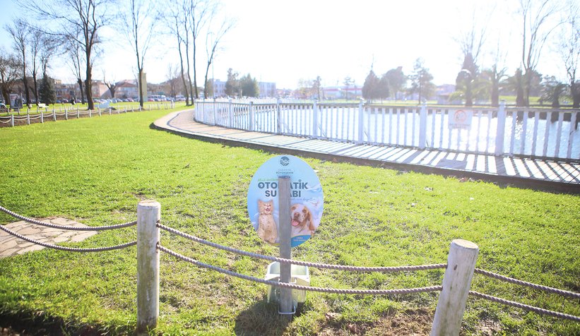 Büyükşehir can dostların hep yanında