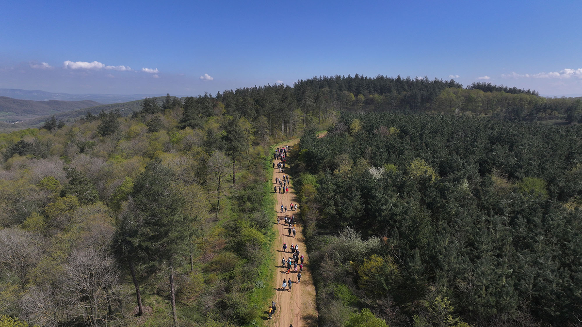Büyükşehir doğa yürüyüşleri başladı