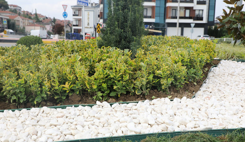 Büyükşehir dokunduğu her yere renk katıyor