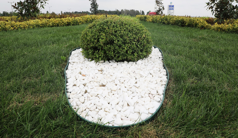 Büyükşehir dokunduğu her yere renk katıyor