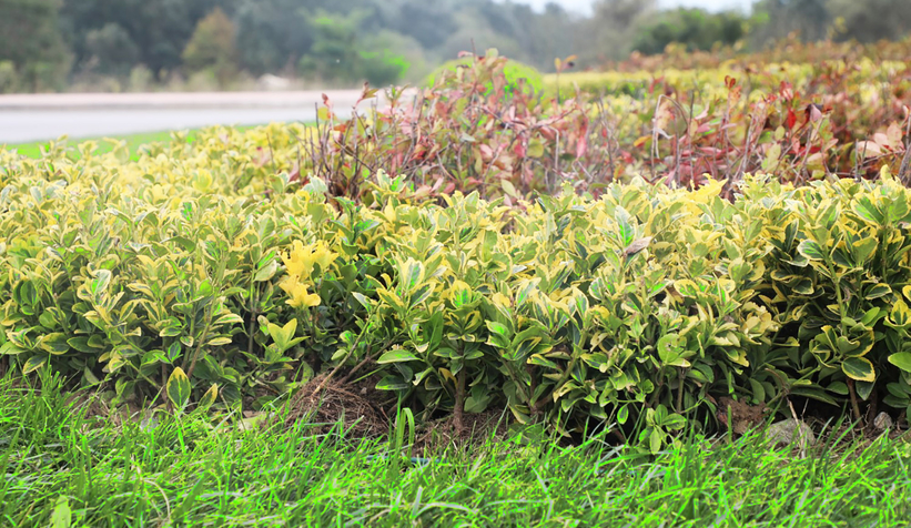 Büyükşehir dokunduğu her yere renk katıyor