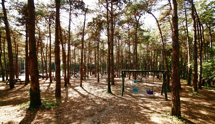 Büyükşehir İl Ormanı sizi bekliyor