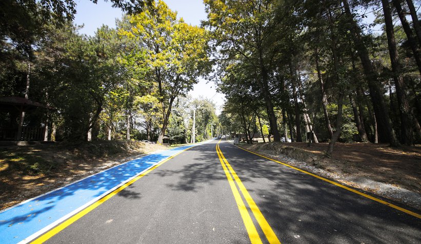 Büyükşehir İl Ormanı sizi bekliyor