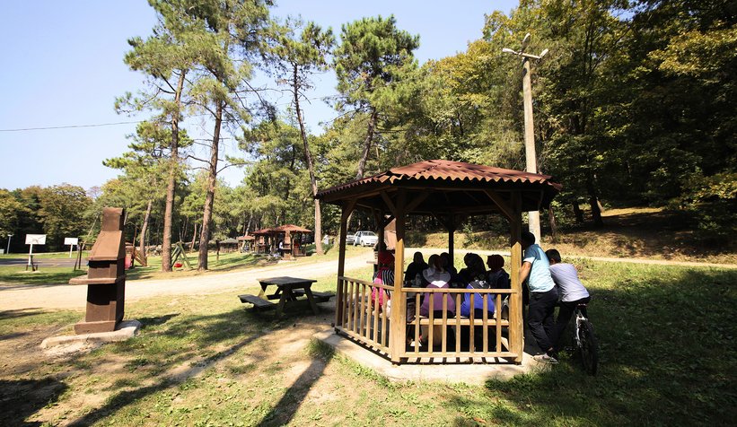 Büyükşehir İl Ormanı sizi bekliyor