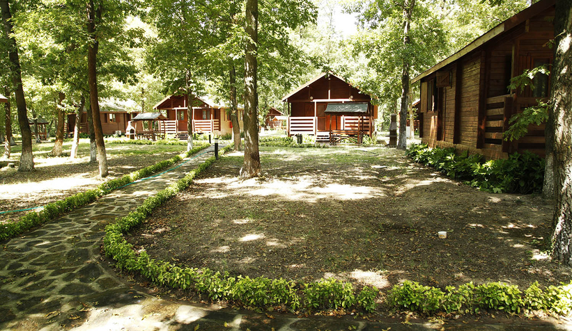 buyuksehir-in-orman-evleri-mukemmel-listesindemuhwd1dsbv