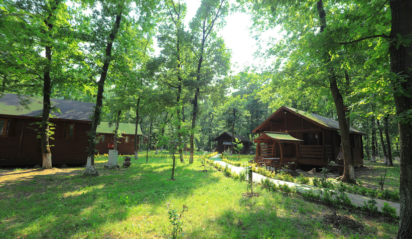 buyuksehir-in-orman-evleri-mukemmel-listesindemuhwd1dsbv