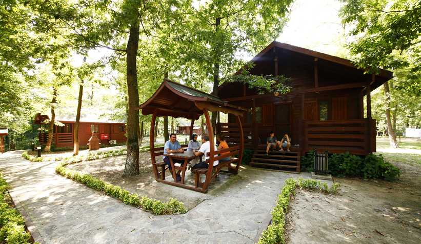 buyuksehir-in-orman-evleri-mukemmel-listesindemuhwd1dsbv