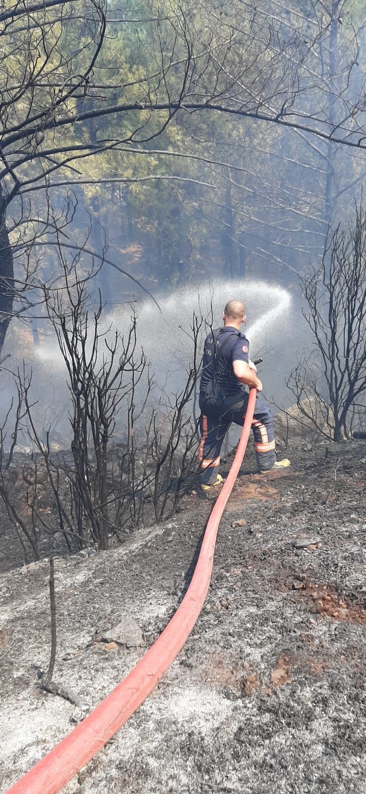 Büyükşehir İtfaiyesi Marmaris ve Manavgat’ta alevlere müdahale ediyor