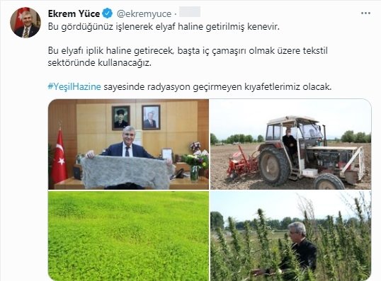 Büyükşehir kenevirden iç çamaşırı üretecek