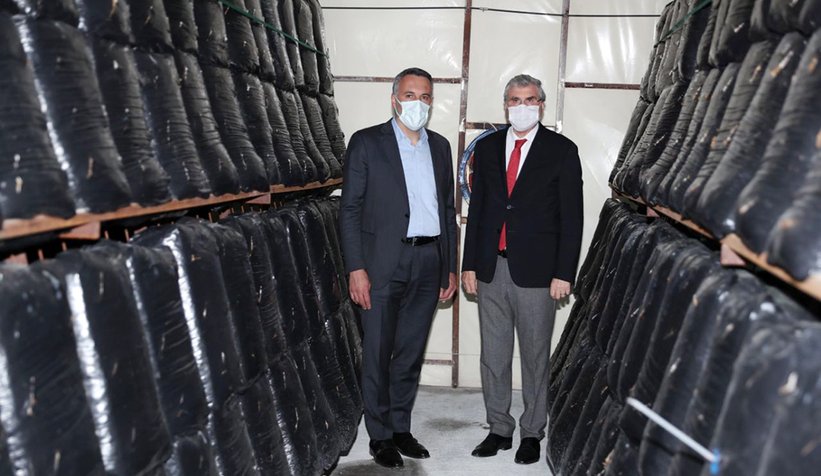 buyuksehir-mantar-uretimine-basladielrbvghswu
