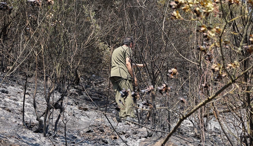 Büyükşehir orman yangınlarında can dostlar için harekete geçti