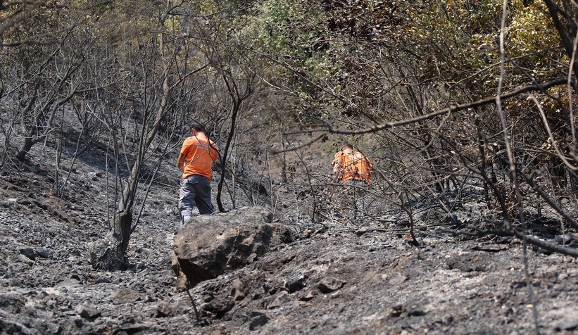 Büyükşehir orman yangınlarında can dostlar için harekete geçti