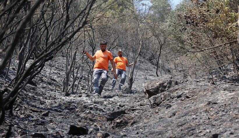 Büyükşehir orman yangınlarında can dostlar için harekete geçti