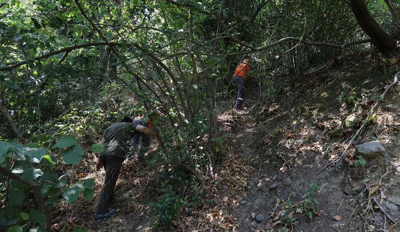 Büyükşehir orman yangınlarında can dostlar için harekete geçti