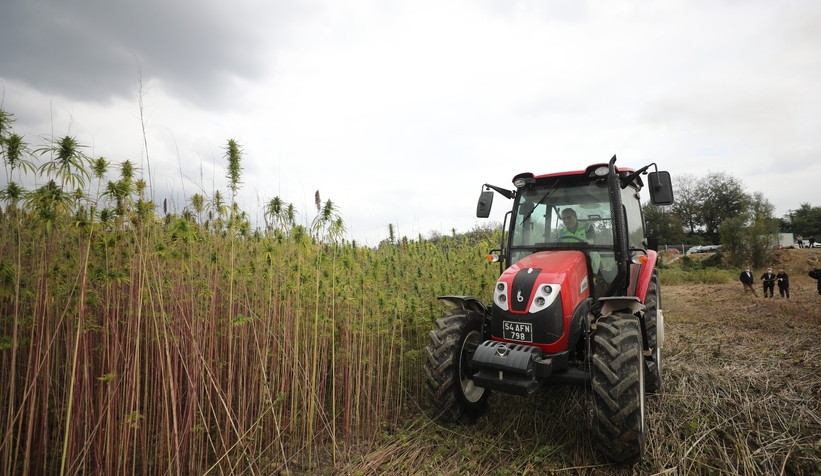 Büyükşehir projeleri tarımda Sakarya'ya can suyu oldu