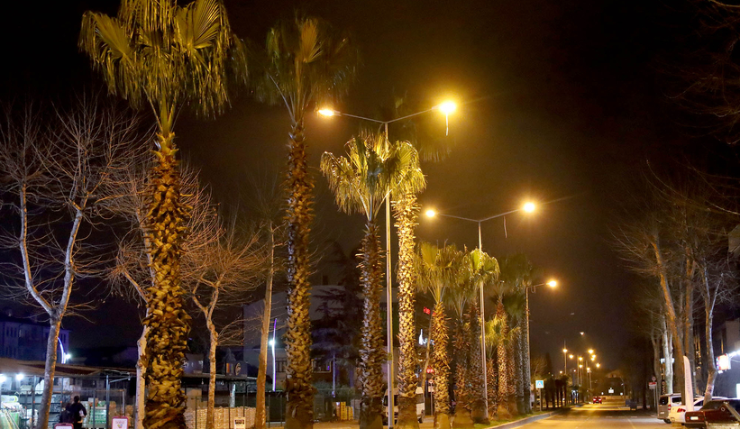 buyuksehir-sehrin-susu-olan-palmiyeleri-yaza-hazirliyormde5y1domc