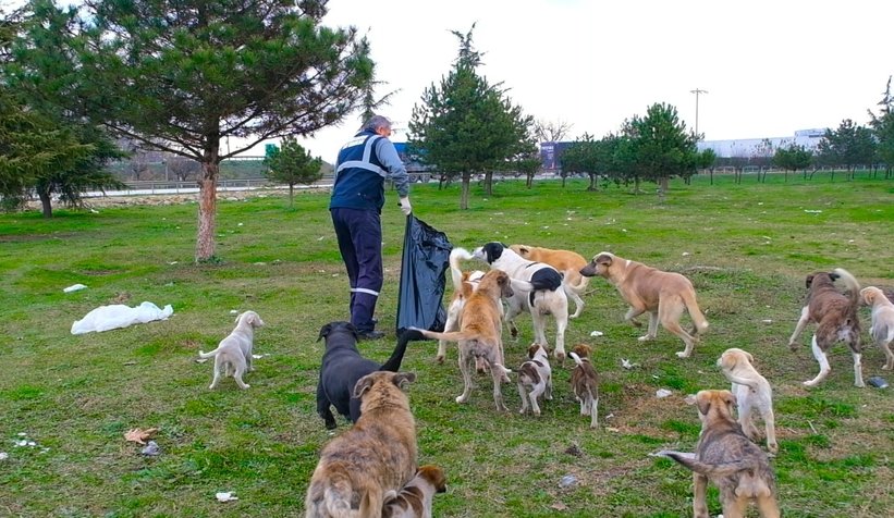 Büyükşehir sokak hayvanları unutmuyor